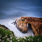 La Jolla Cove Photograph by Larry Marshall La Jolla Cove Photograph by Larry Marshall