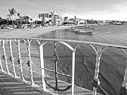 La Paz Waterfront Photograph by Becqi Sherman