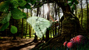 Lady Butterfly Digital Art by Alessandro Della Pietra