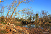 Lake and Trees in Early Spring Photograph by Todd Blanchard
