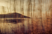 Lake awakening #1 Photograph by Yancho Sabev Art