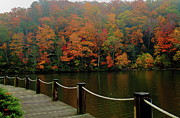 Lake Lure Fall Colors Photograph by Allen Nice-Webb Lake Lure Fall Colors Photograph by Allen Nice-Webb