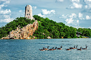 Lake Murray's Gaggle of Geese Photograph by Tamyra Ayles Lake Murray's Gaggle of Geese Photograph by Tamyra Ayles