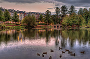 Lakeside at Milton Park Photograph by Anna Rumiantseva