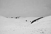 Lamar Valley Black and White Photograph by Bruce Gourley