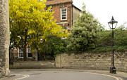 Lamppost on a street bend. Photograph by Elena Perelman