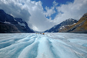 Land of the Giants Photograph by Neil Shapiro