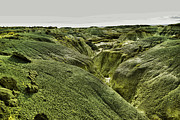  Landscape Of The Bisti Photograph by Jeff Swan