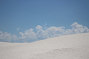 Landscapes of White Sands 8 Photograph by Colleen Cornelius
