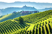 Langhe  Photograph by Francesco Riccardo Iacomino