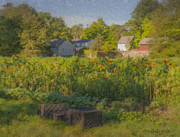 Langwater Farm Sunflowers and Barns Painting by Bill McEntee