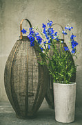 Lanterns and blue flowers Photograph by Yancho Sabev Art