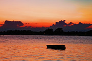 Last Rays of Orange Photograph by Gina Fitzhugh Last Rays of Orange Photograph by Gina Fitzhugh