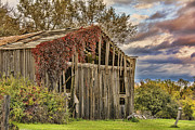 Late Afternoon At The Barn Photograph by Cathy Kovarik
