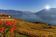Lavaux region, Vaud, Switzerland Photograph by Elenarts - Elena Duvernay photo