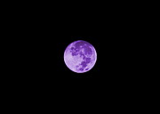 Lavender Moon Digital Art by Colleen Cornelius Lavender Moon Digital Art by Colleen Cornelius