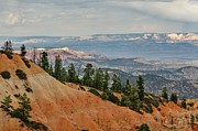 Layers and Light at Bryce Canyon Photograph by Gaelyn Olmsted
