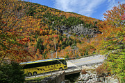 Leaf Peepers Photograph by Kevin Craft