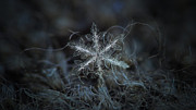 Leaves of ice, panoramic version Photograph by Alexey Kljatov