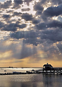 Let The Sunshine In Photograph by Janice Drew