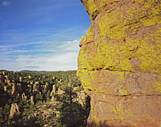 Lichen Wall Photograph by Tom Daniel
