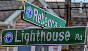 Lighthouse Road Photograph by Brian MacLean