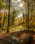 Lightplay Photograph by Kirkodd Photography Of New England