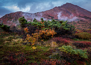 Lingering Autumn Reds Photograph by Tim Newton