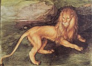 Lion Painting by Albrecht Durer