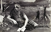 Lionel The Lion Faced Man Photograph by Wellcome Images