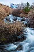 Liquid Winter Photograph by Tim Newton