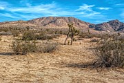Little Butte Photograph by Joe Lach