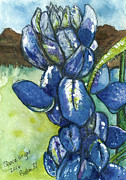 Llano Blue Painting by Shara Wright