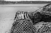 LobsterTrap Photograph by Darius Aniunas