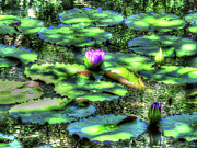Lone Lily Digital Art by Kathleen Illes