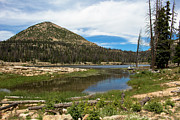 Long Lake - 2 Photograph by K Bradley Washburn