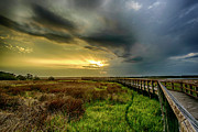 Long Walk Photograph by DJA Images