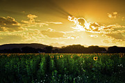 Longmont Summer Skies 2 Photograph by John De Bord