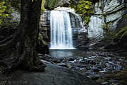 Looking Glass Falls Photograph by C  Renee Martin