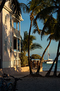 Louie's Backyard Photograph by Ed Gleichman
