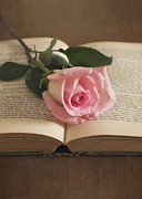 Love is an Open Book Photograph by Kim Hojnacki Love is an Open Book Photograph by Kim Hojnacki