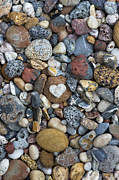 Love the Beach Photograph by Tim Gainey