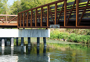 Lower Yahara River Trail 3- Madison - Wisconsin Photograph by Steven Ralser Lower Yahara River Trail 3- Madison - Wisconsin Photograph by Steven Ralser