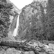 Lower Yosemite Falls in Black and White by Michael Tidwell Photograph by Michael Tidwell