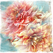 Lynia Dahlia Photograph by Jill Love