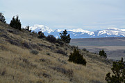 Madison Buffalo Jump State Park in Spring Photograph by Bruce Gourley