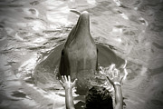 Magic Photograph by Becqi Sherman Magic Photograph by Becqi Sherman