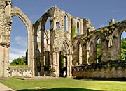 Magnificent ruins. Photograph by Elena Perelman