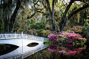 Magnolia Plantation Photograph by Jennifer Ludlum