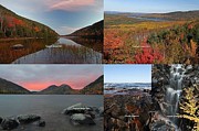Maine Acadia National Park Landscape Photography Photograph by Juergen Roth Maine Acadia National Park Landscape Photography Photograph by Juergen Roth